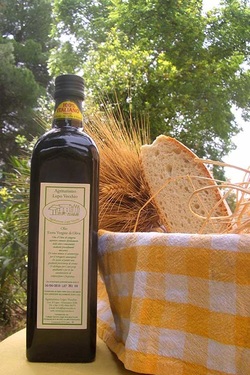 Lupo Vecchio olive oil and local bread